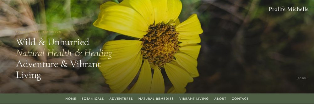 Screenshot of Prolife Michelle website — custom web design by Mountain Mystic Michelle, San Bernardino Mountains